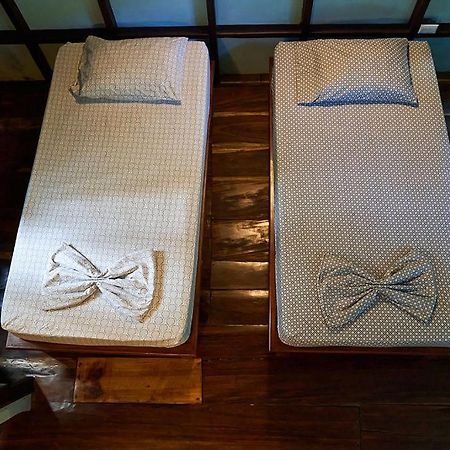 Luz En El Cielo Eco-B&B/Hostel มอนเตซูมา ภายนอก รูปภาพ