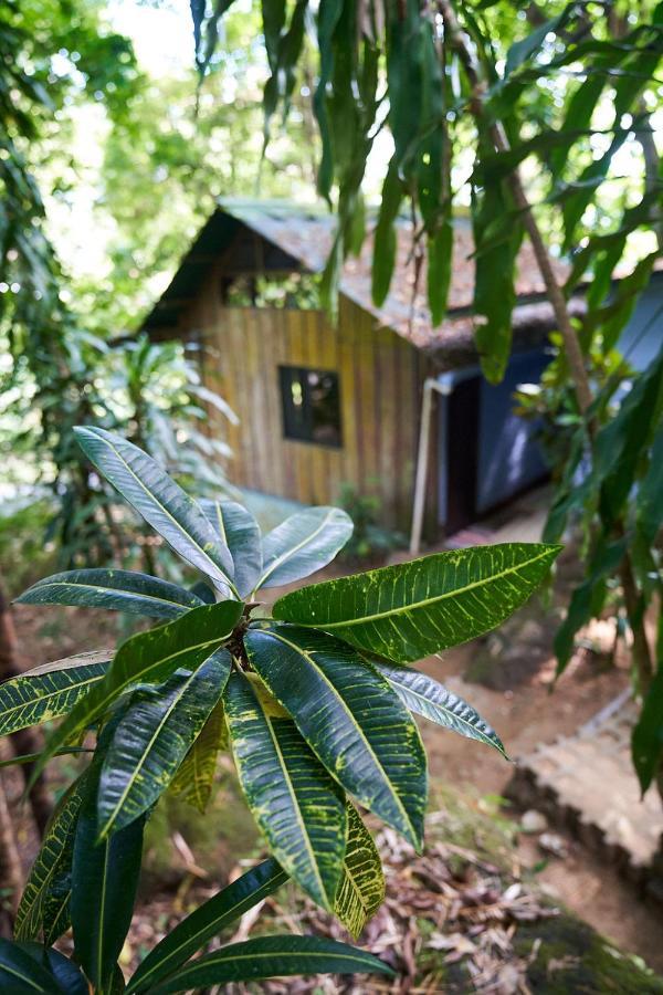 Luz En El Cielo Eco-B&B/Hostel มอนเตซูมา ภายนอก รูปภาพ