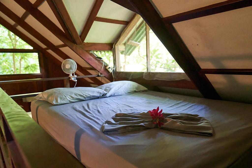 Luz En El Cielo Eco-B&B/Hostel มอนเตซูมา ภายนอก รูปภาพ
