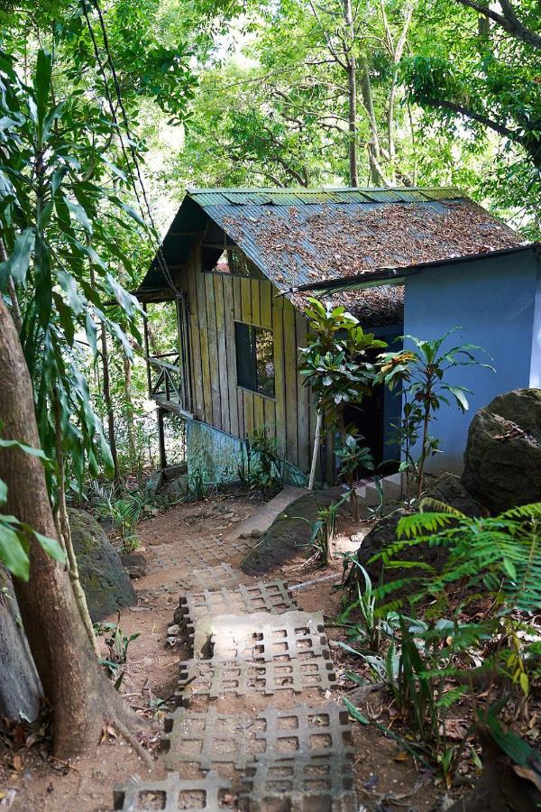 Luz En El Cielo Eco-B&B/Hostel มอนเตซูมา ภายนอก รูปภาพ