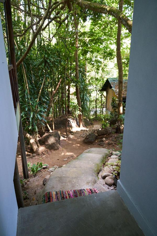 Luz En El Cielo Eco-B&B/Hostel มอนเตซูมา ภายนอก รูปภาพ