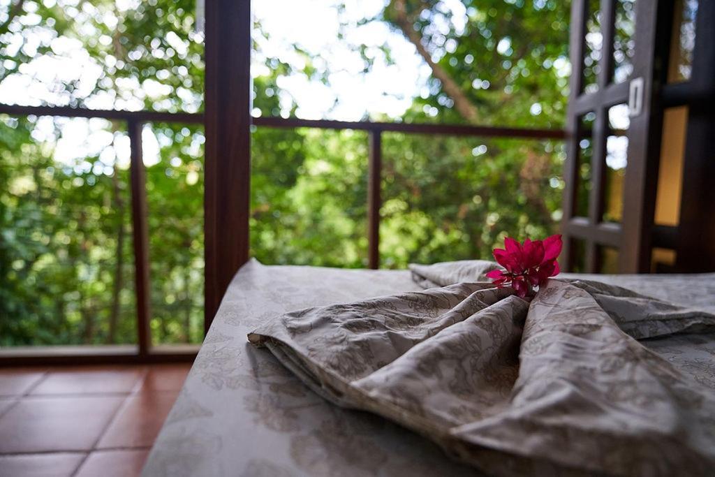 Luz En El Cielo Eco-B&B/Hostel มอนเตซูมา ภายนอก รูปภาพ