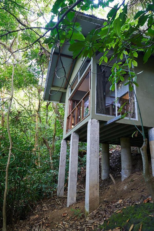 Luz En El Cielo Eco-B&B/Hostel มอนเตซูมา ภายนอก รูปภาพ