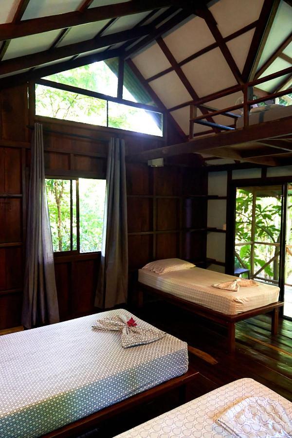 Luz En El Cielo Eco-B&B/Hostel มอนเตซูมา ภายนอก รูปภาพ