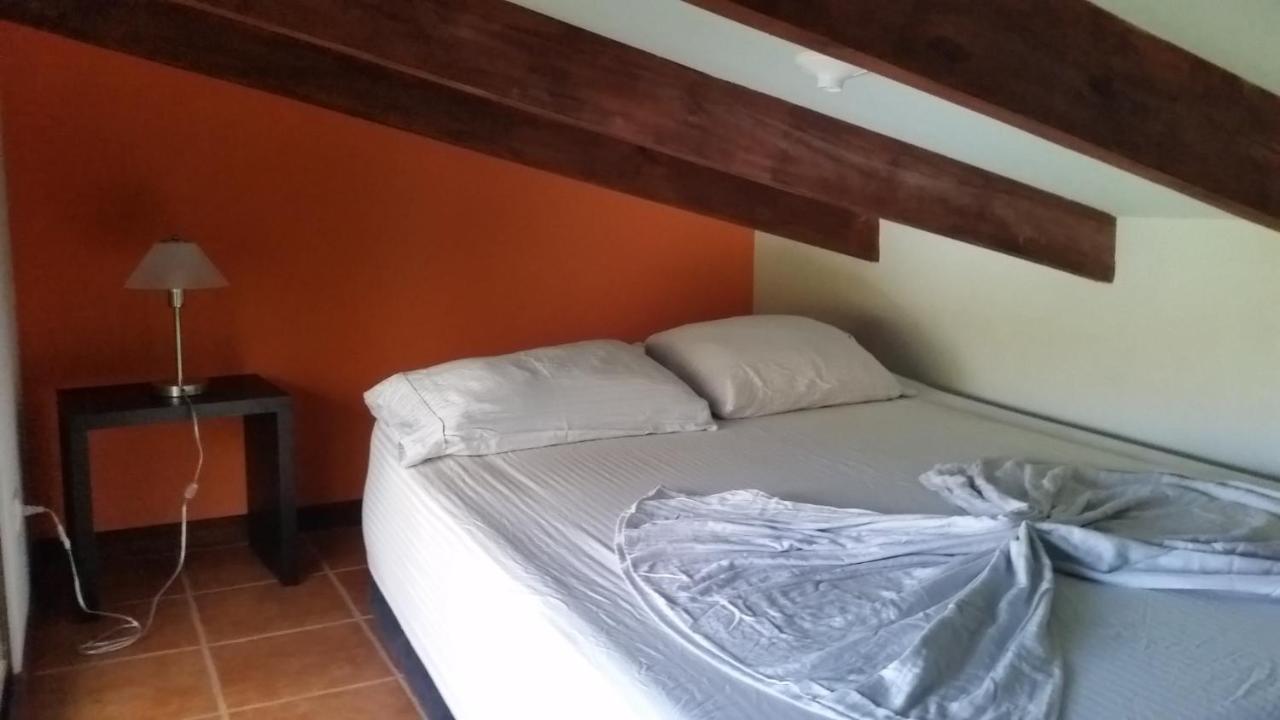 Luz En El Cielo Eco-B&B/Hostel มอนเตซูมา ภายนอก รูปภาพ