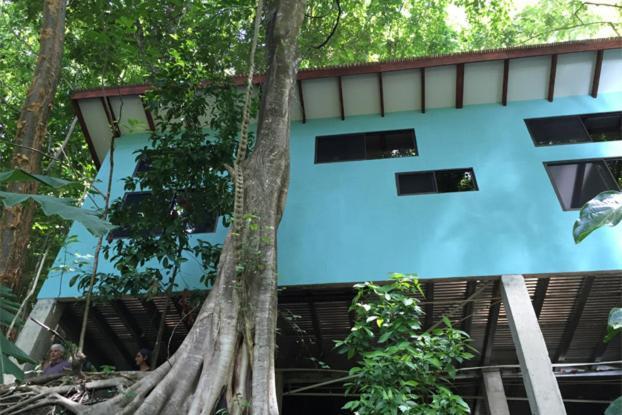 Luz En El Cielo Eco-B&B/Hostel มอนเตซูมา ห้อง รูปภาพ