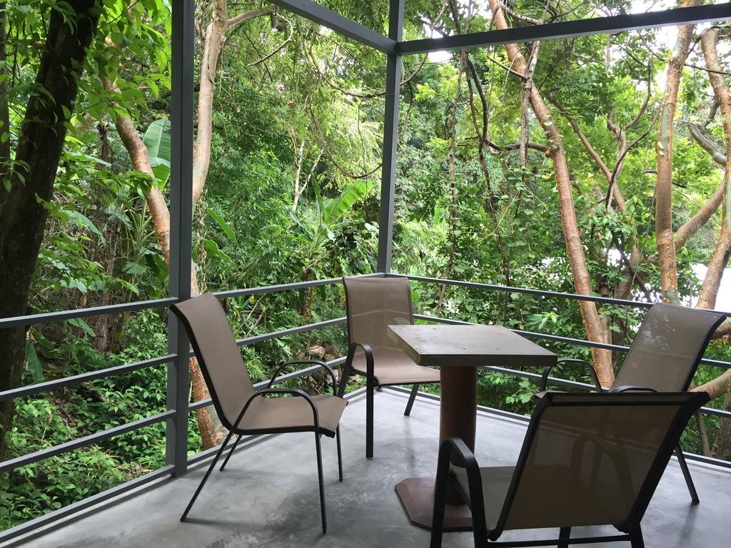 Luz En El Cielo Eco-B&B/Hostel มอนเตซูมา ห้อง รูปภาพ