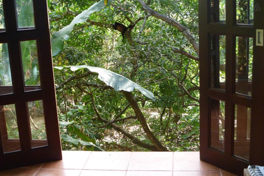Luz En El Cielo Eco-B&B/Hostel มอนเตซูมา ห้อง รูปภาพ