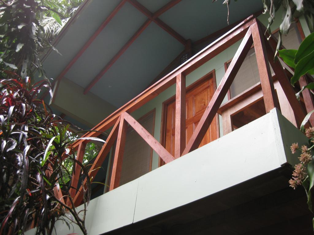 Luz En El Cielo Eco-B&B/Hostel มอนเตซูมา ห้อง รูปภาพ