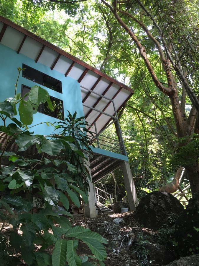 Luz En El Cielo Eco-B&B/Hostel มอนเตซูมา ภายนอก รูปภาพ